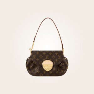 Louis Vuitton - Bolsa café