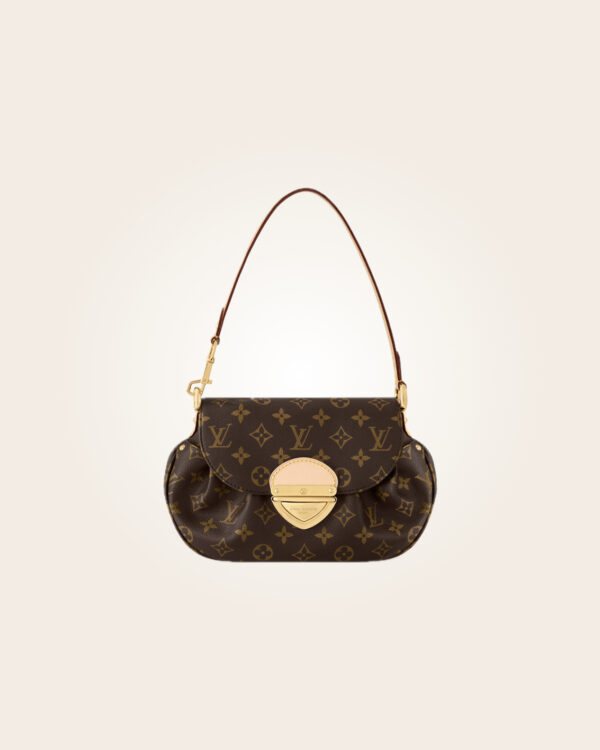 Louis Vuitton - Bolsa café
