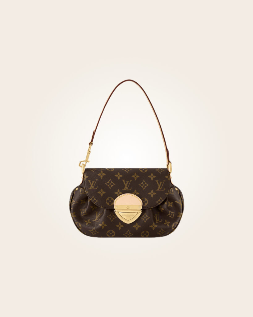 Louis Vuitton - Bolsa café